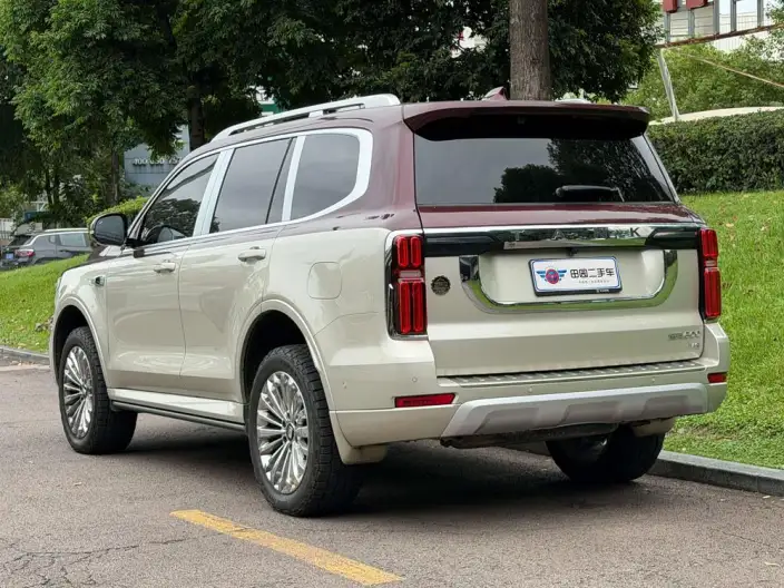 Tank 500 2022 Model Customized Edition 5 seat – фото 4