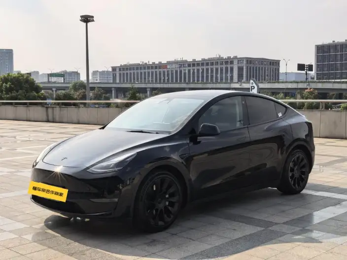 Model Y 2021 Model Standard Battery Life Rear-wheel drive version – фото 1