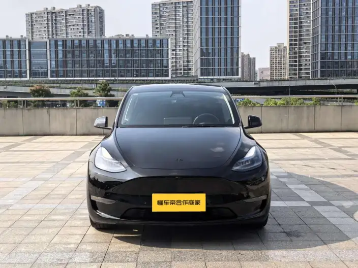 Model Y 2021 Model Standard Battery Life Rear-wheel drive version – фото 2