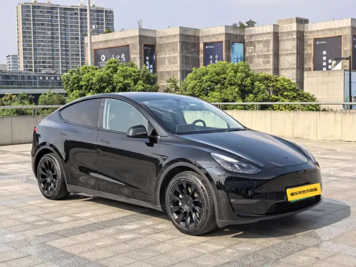 Model Y 2021 Model Standard Battery Life Rear-wheel drive version – фото 3
