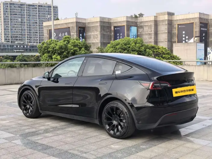 Model Y 2021 Model Standard Battery Life Rear-wheel drive version – фото 5