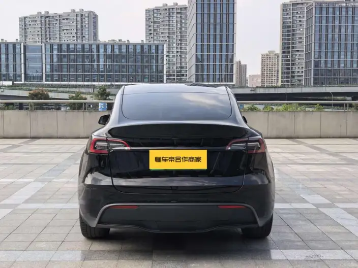 Model Y 2021 Model Standard Battery Life Rear-wheel drive version – фото 6