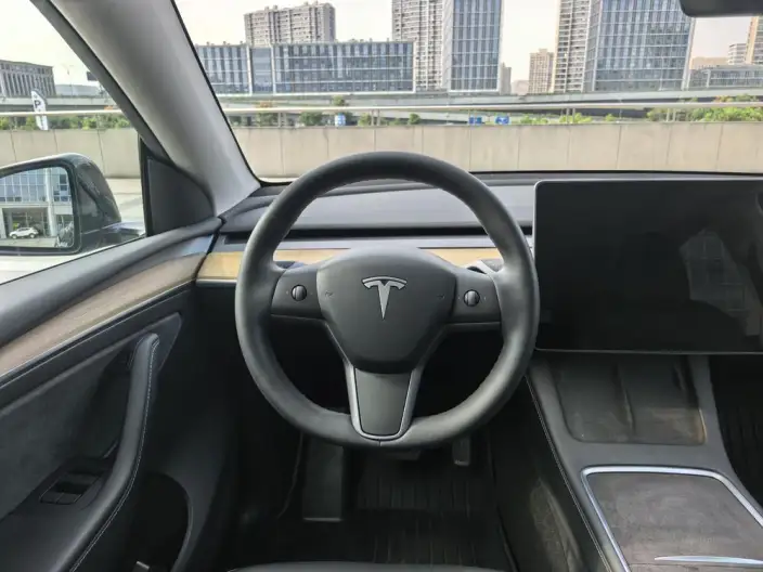 Model Y 2021 Model Standard Battery Life Rear-wheel drive version – фото 8