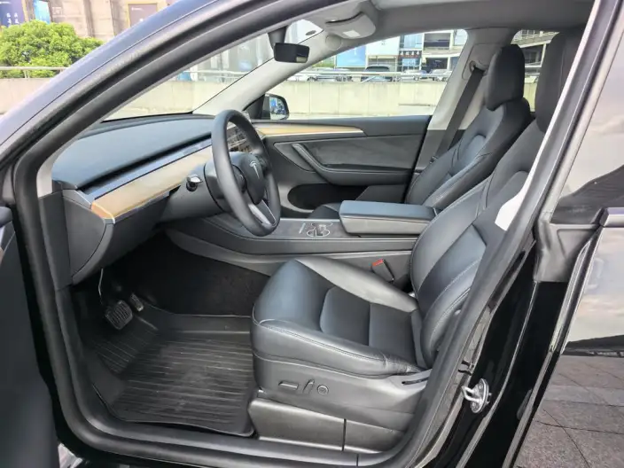 Model Y 2021 Model Standard Battery Life Rear-wheel drive version – фото 9