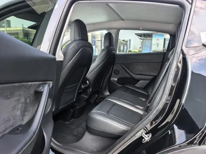 Model Y 2021 Model Standard Battery Life Rear-wheel drive version – фото 10