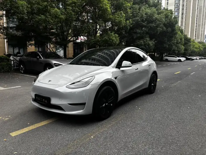 Model Y 2021 Model Standard Battery Life Rear-wheel drive version – фото 1