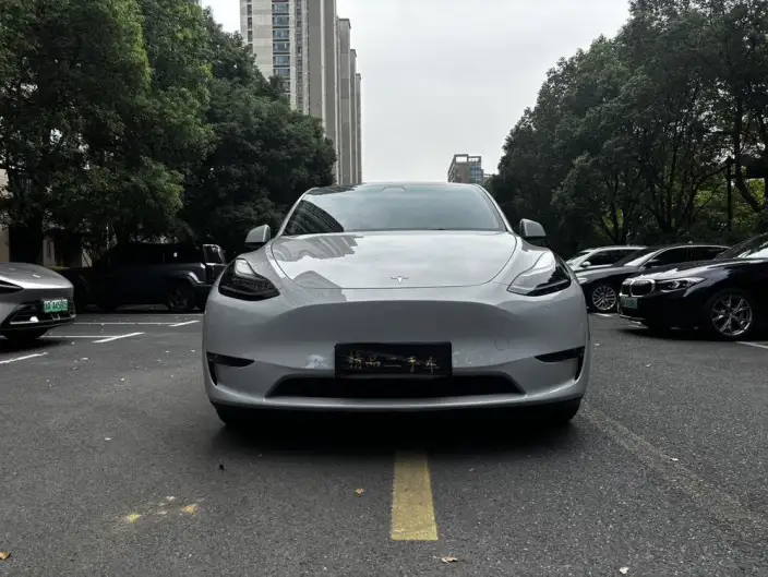 Model Y 2021 Model Standard Battery Life Rear-wheel drive version – фото 2
