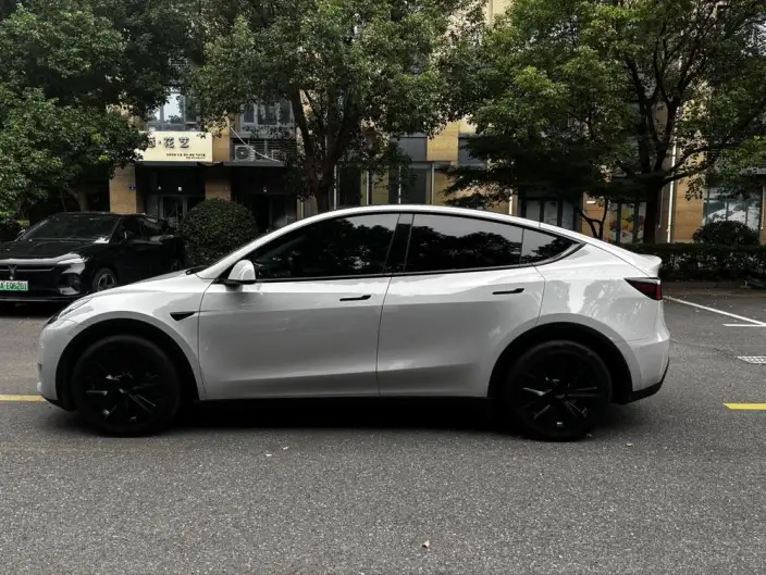 Model Y 2021 Model Standard Battery Life Rear-wheel drive version – фото 3