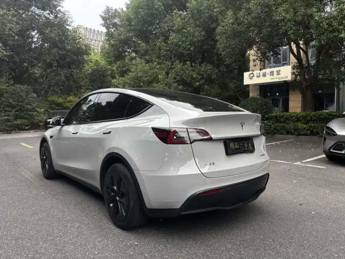 Model Y 2021 Model Standard Battery Life Rear-wheel drive version – фото 4