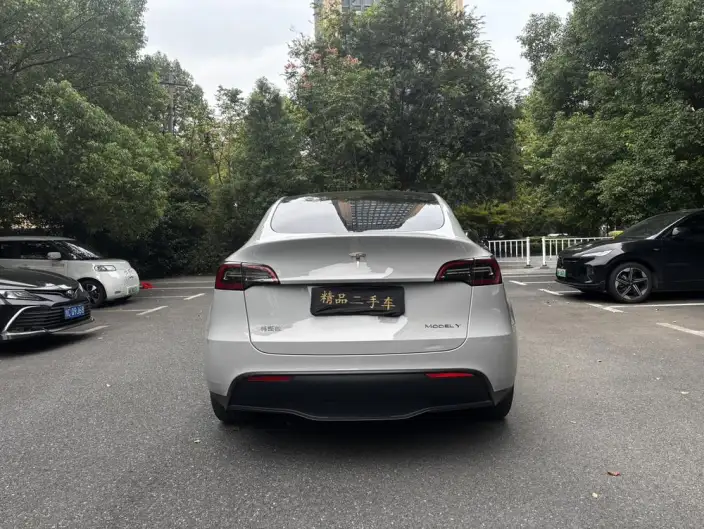 Model Y 2021 Model Standard Battery Life Rear-wheel drive version – фото 5