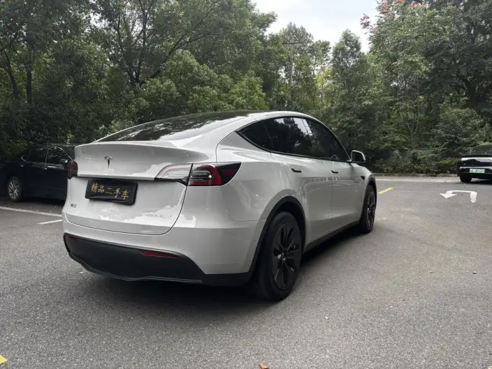 Model Y 2021 Model Standard Battery Life Rear-wheel drive version – фото 6