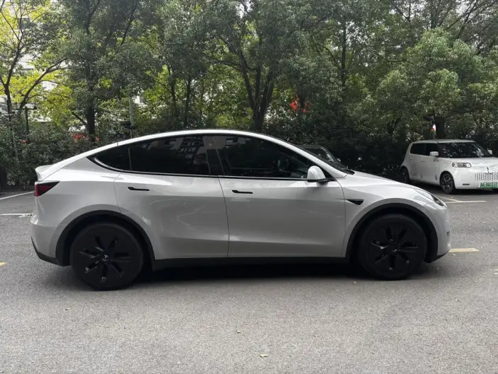 Model Y 2021 Model Standard Battery Life Rear-wheel drive version – фото 7