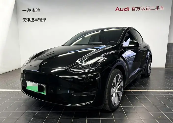 Model Y 2021 Model Standard Battery Life Rear-wheel drive version – фото 1
