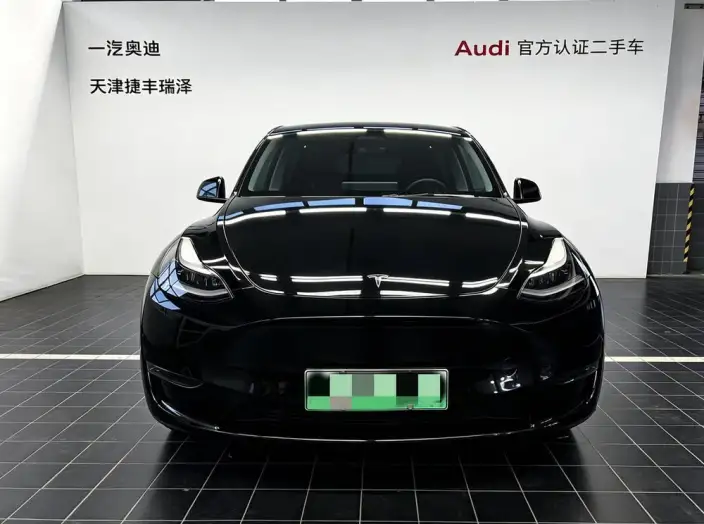 Model Y 2021 Model Standard Battery Life Rear-wheel drive version – фото 2