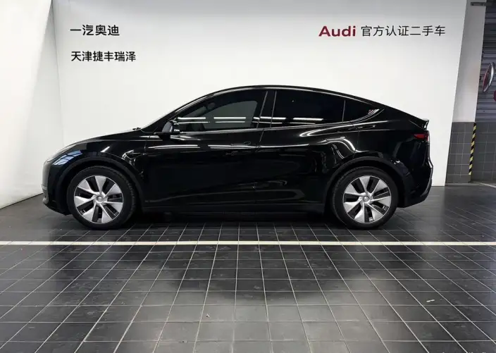 Model Y 2021 Model Standard Battery Life Rear-wheel drive version – фото 4