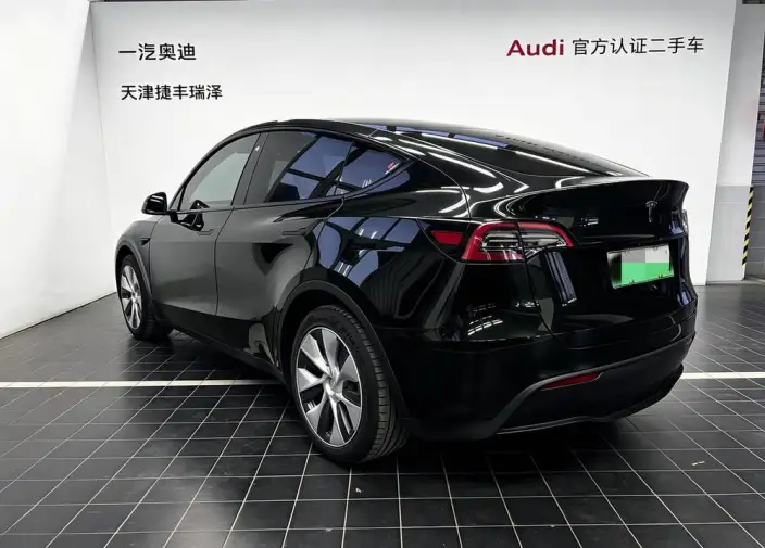 Model Y 2021 Model Standard Battery Life Rear-wheel drive version – фото 5