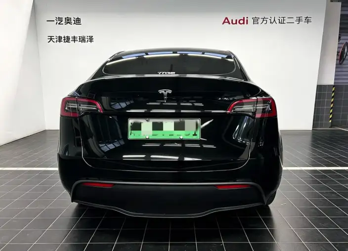 Model Y 2021 Model Standard Battery Life Rear-wheel drive version – фото 6