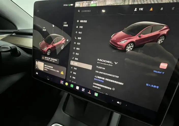 Model Y 2021 Model Standard Battery Life Rear-wheel drive version – фото 9