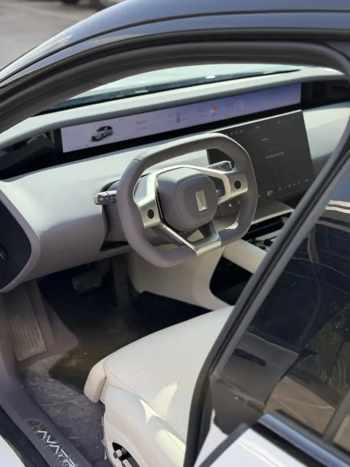 Avita 06 2025 Model Pro EV Edition – фото 8
