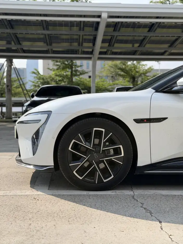 Avita 06 2025 Model Pro EV Edition – фото 10