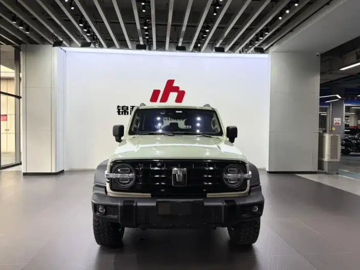 Tank 300 2024 Model 2.0T Challenger – фото 2