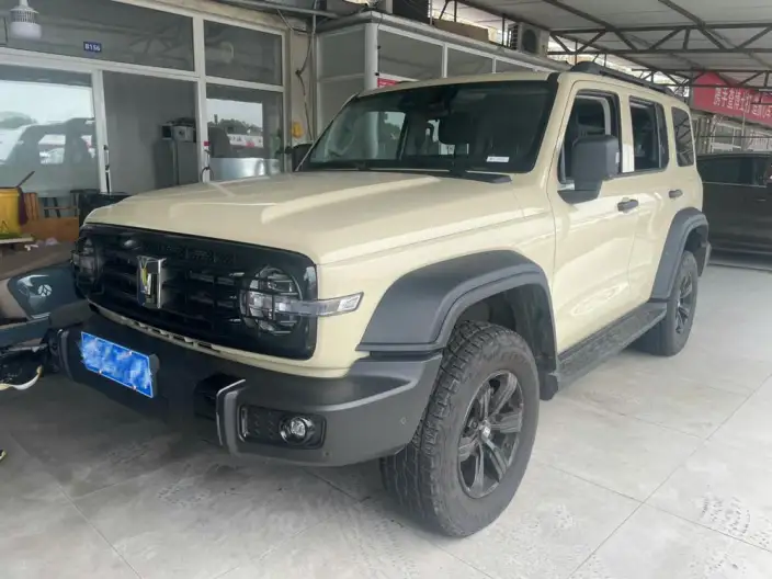 Tank 300 2025 Model 2.4T Diesel Edition – фото 1