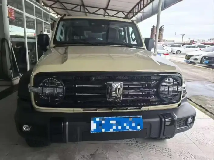Tank 300 2025 Model 2.4T Diesel Edition – фото 2