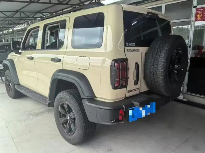Tank 300 2025 Model 2.4T Diesel Edition – фото 3