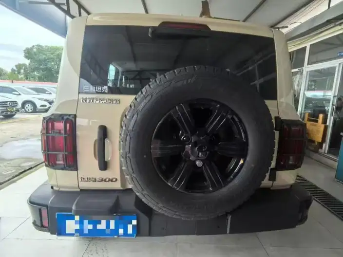 Tank 300 2025 Model 2.4T Diesel Edition – фото 4