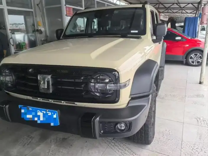 Tank 300 2025 Model 2.4T Diesel Edition – фото 6
