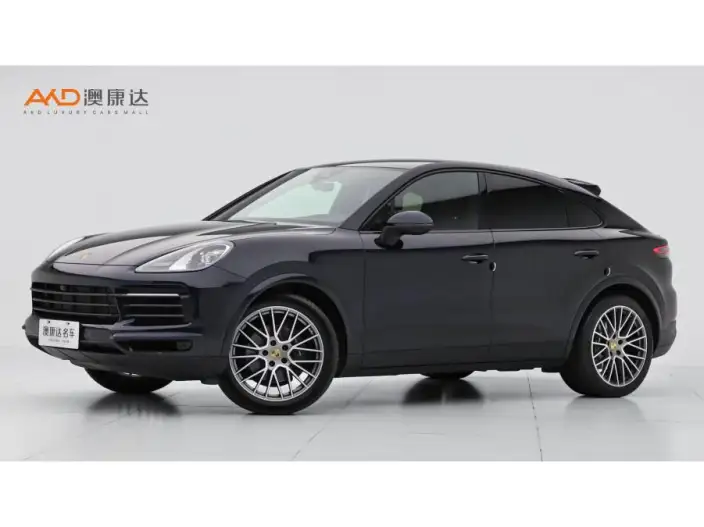 Cayenne 2023 Model Cayenne 3.0T Platinum edition – фото 1