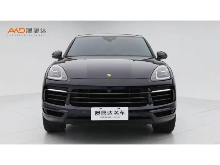 Cayenne 2023 Model Cayenne 3.0T Platinum edition – фото 2