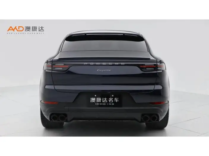Cayenne 2023 Model Cayenne 3.0T Platinum edition – фото 3