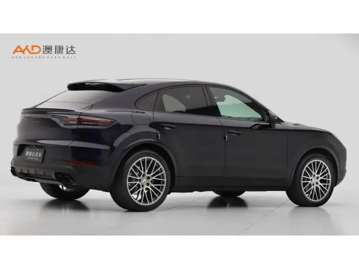 Cayenne 2023 Model Cayenne 3.0T Platinum edition – фото 4