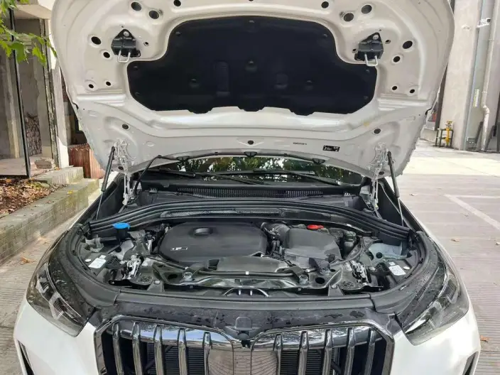 BMW X1 2025 Model xDrive25Li M Sports Night Set – фото 6