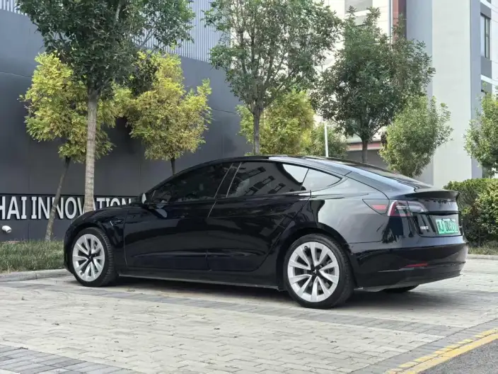 Model 3 2021 Model Standard Battery Life Rear Drive L Class Edition – фото 4
