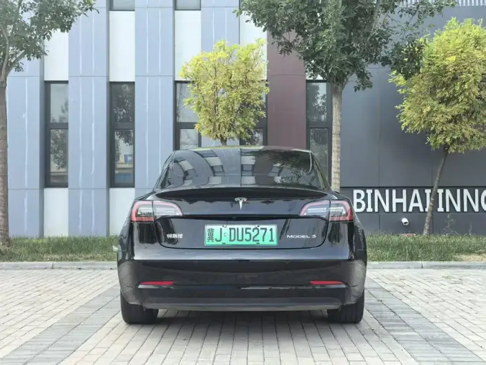 Model 3 2021 Model Standard Battery Life Rear Drive L Class Edition – фото 5