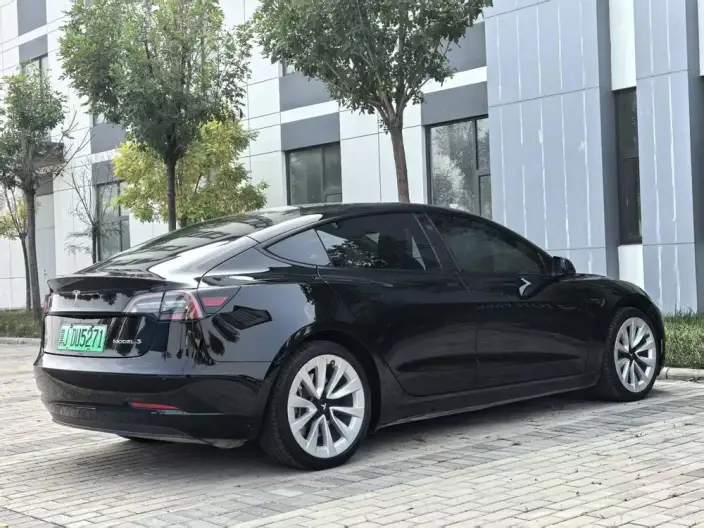 Model 3 2021 Model Standard Battery Life Rear Drive L Class Edition – фото 6