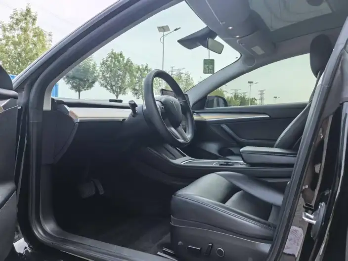 Model 3 2021 Model Standard Battery Life Rear Drive L Class Edition – фото 8