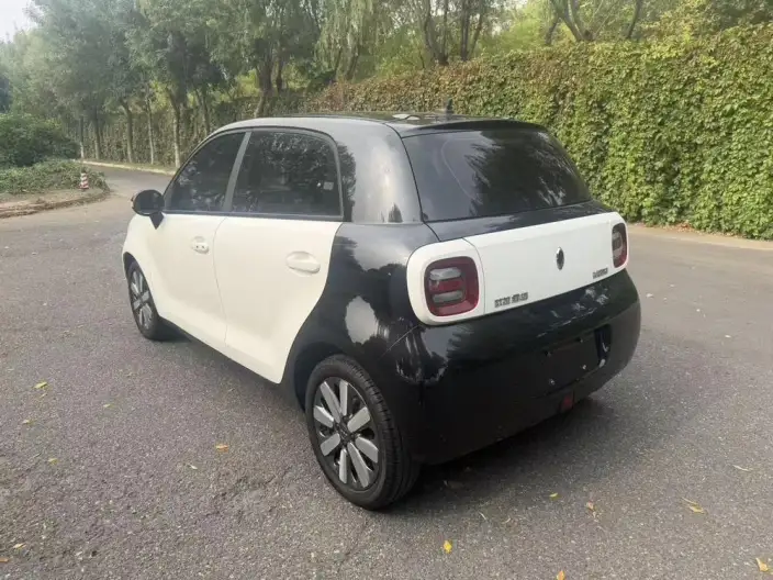 ORA Black Cat 2021 Model 351km Standard Model – фото 4