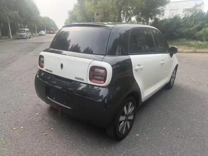 ORA Black Cat 2021 Model 351km Standard Model – фото 5
