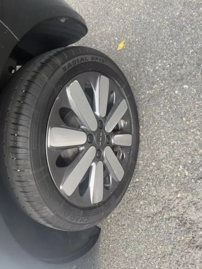 ORA Black Cat 2021 Model 351km Standard Model – фото 6