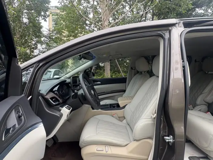 Buick GL8 2023 Model Business class 2.0T Comfort Model – фото 10