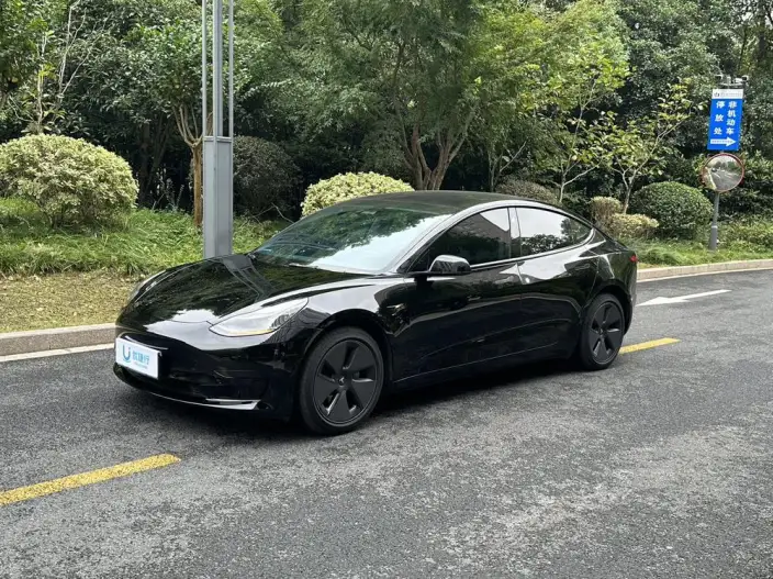 Model 3 2022 Model Rear-wheel drive version – фото 1