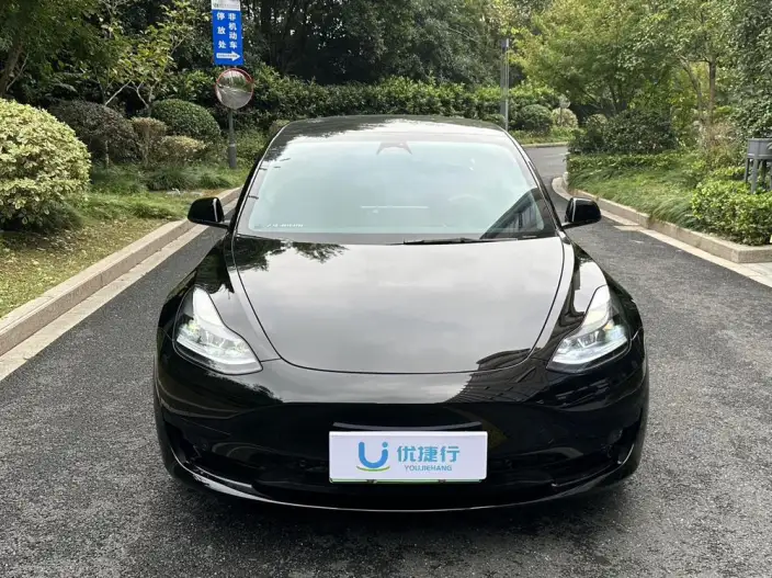 Model 3 2022 Model Rear-wheel drive version – фото 2