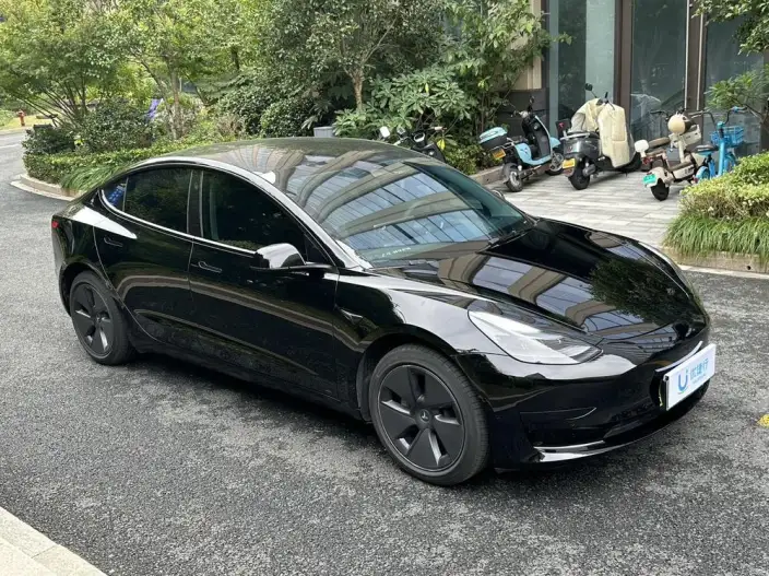 Model 3 2022 Model Rear-wheel drive version – фото 3