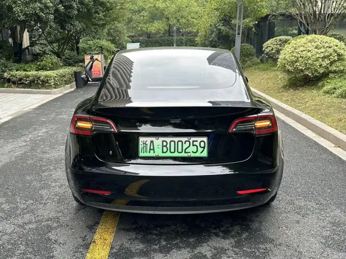 Model 3 2022 Model Rear-wheel drive version – фото 4