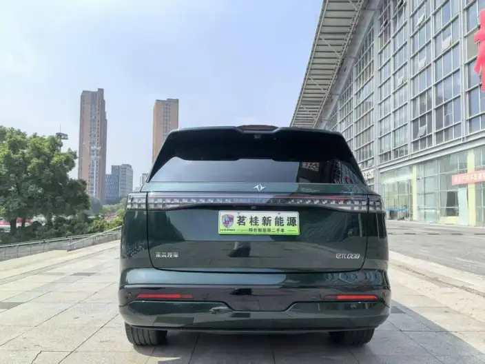 eπ 008 2026 Model EV Family Edition 6 seat – фото 6