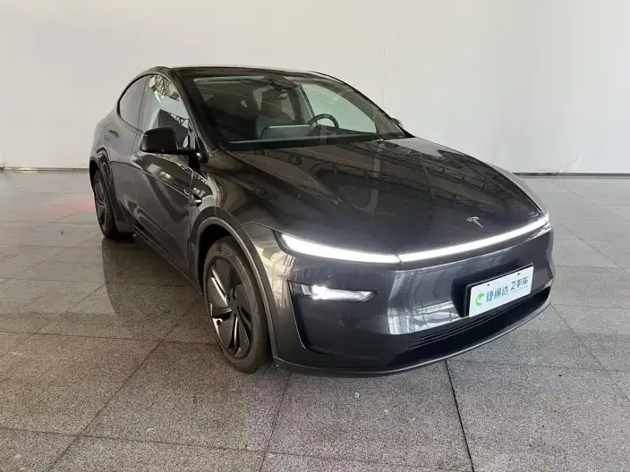 Model Y 2025 Model Rear-wheel drive version – фото 3