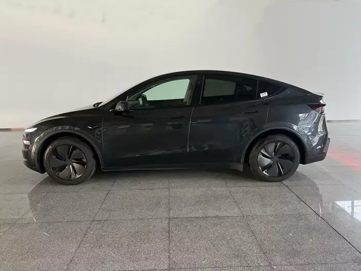 Model Y 2025 Model Rear-wheel drive version – фото 4